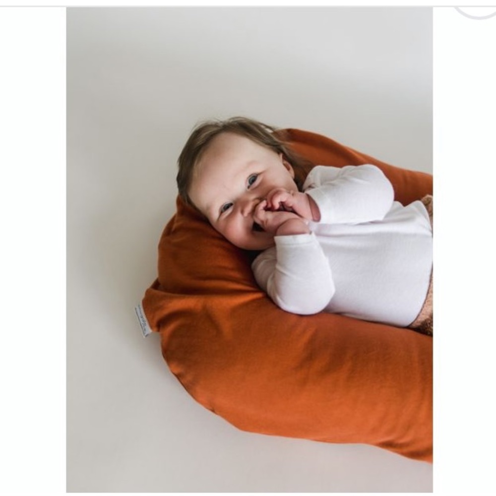Snuggle Me Organic Cover in Gingerbread
